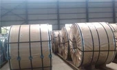Stainless Steel Coil 304